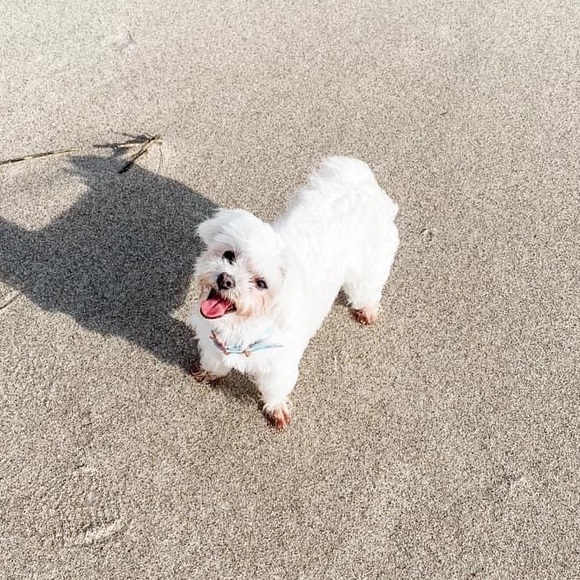 Meet your Posher, Erica - Picture 11 of 11